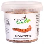 buffalomatoja-buffalomadot-55g-pakastekuivattuja-Bug-Bazaar-450x448