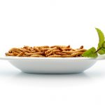 Healthy mealworms on small plate with decoration