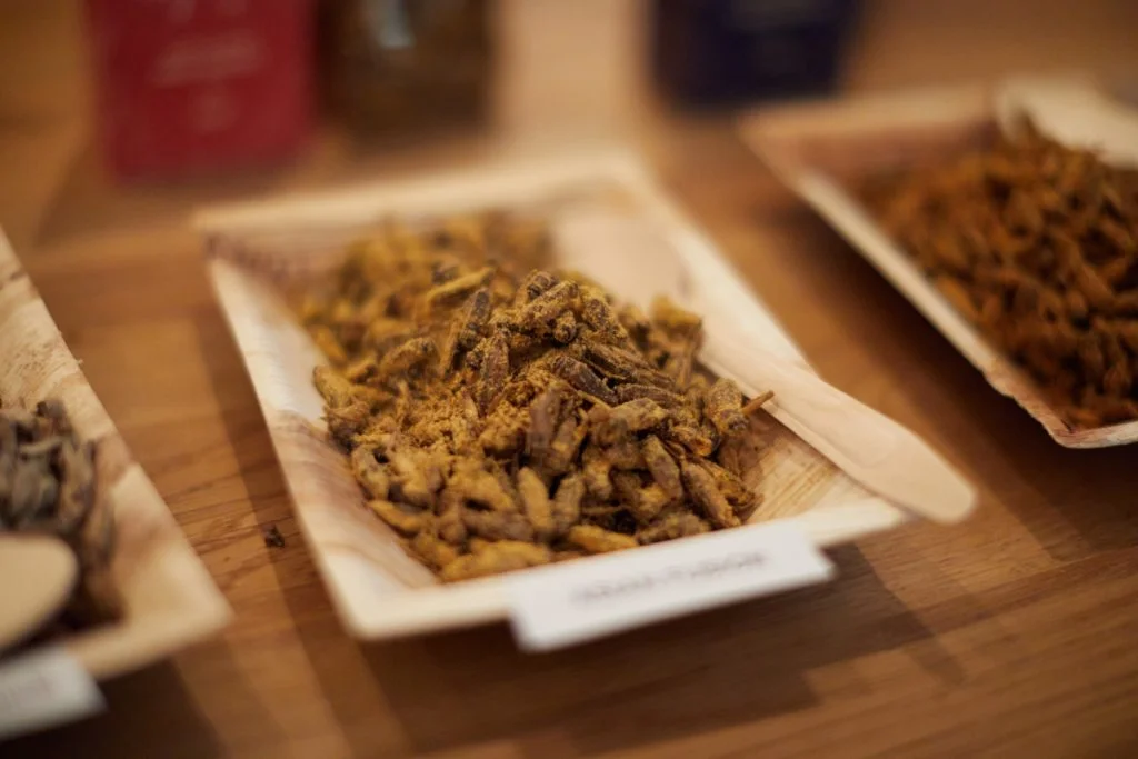 Party-Bugs-Edible-Insects-Snacks-Ready-To-Eat-02-(1200x800;72pt)