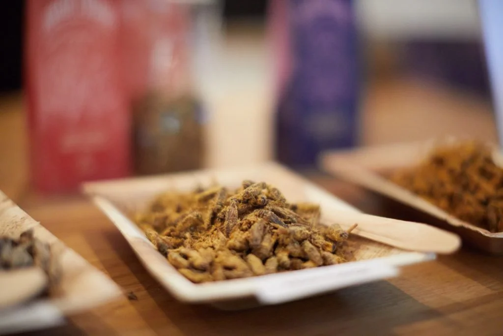 Party-Bugs-Edible-Insects-Snacks-Ready-To-Eat-03-(1200x800;72pt)